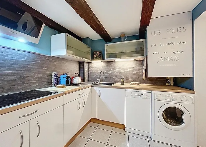 Cocon Au Coeur Des Vignes Et De La Vieille * Barr