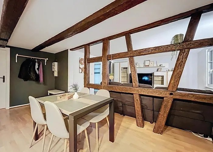 Cocon Au Cœur Des Vignes Et De La Vieille * Barr