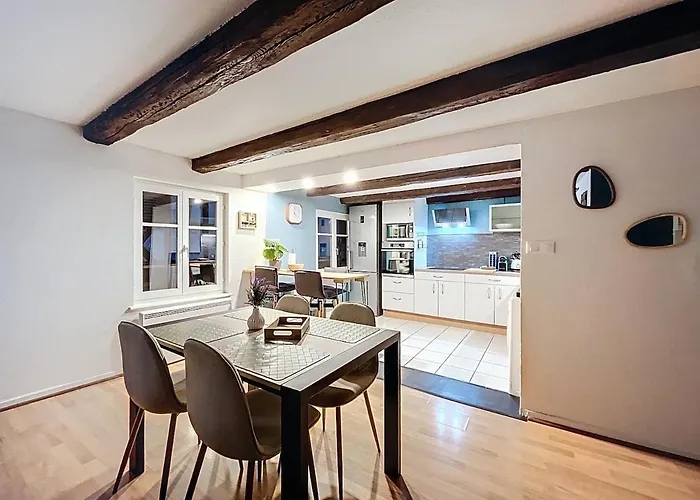 Cocon Au Coeur Des Vignes Et De La Vieille Appartement Barr