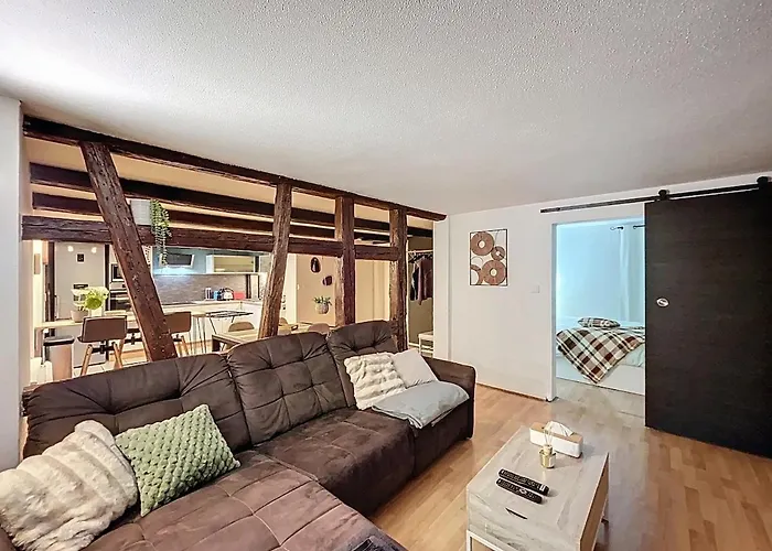 Cocon Au Cœur Des Vignes Et De La Vieille Appartement *